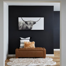 Basement Family Room