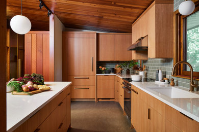 Kitchen - mid-century modern kitchen idea in Minneapolis