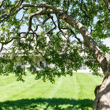 Country Fruit Tree Pruning