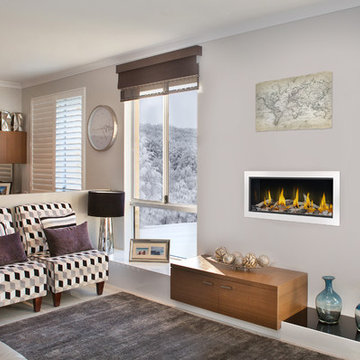 Napoleon Fireplaces