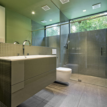 Mountain Lake Residence