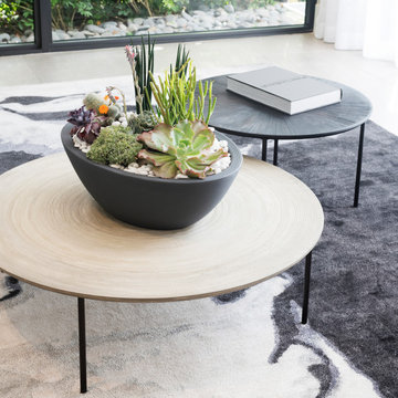 Tabletop Planters for Your Style