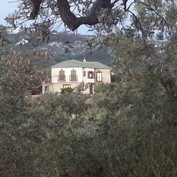 The Copper Tree Olive Grove