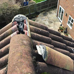 roof repair - Ceiling Tiles
