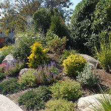 Landscaping/Outdoor Space