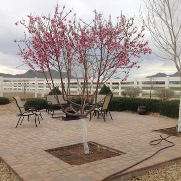 The Whole Backyard!!!!