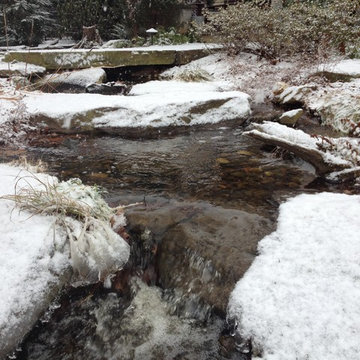Winter Ponds and Waterfalls