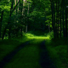 outdoors /landscaping: photography