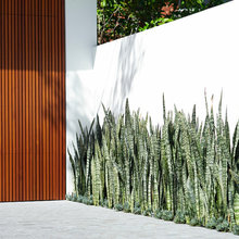 Exterior Ideas