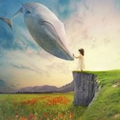 Thuy Nguyen's photo