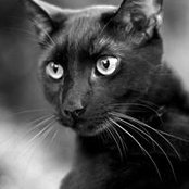 Ali Goffenson's photo