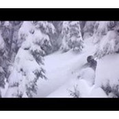 Fritz Schrichte's photo