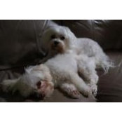 Linda Andem's photo