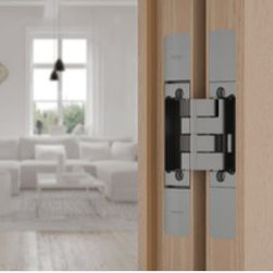 Modern Concealed Hinge - Basys Pivota DX 61 - Hinges