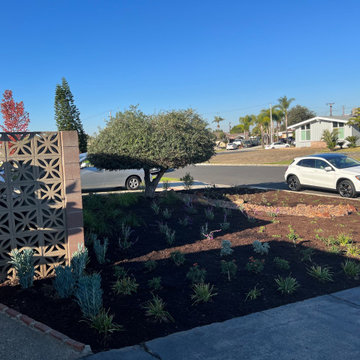 No mow front yard