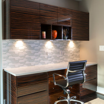 Macassar high gloss veneer for American customer
