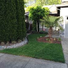 Front Yard Landscape