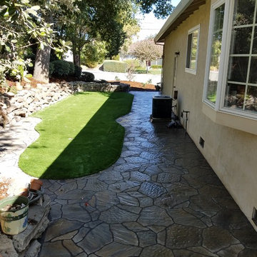 Drought Tolerant