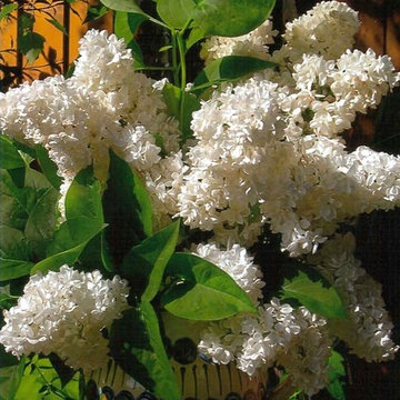 Flower bouquets for all seasons