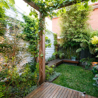 75 Beautiful Tropical Backyard Landscaping Pictures Ideas November 2020 Houzz