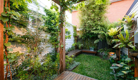 Trucos para transformar un patio de 50 m² en un vergel