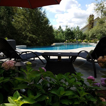 Backyard Oasis