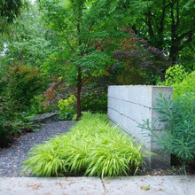 Patio Ideas