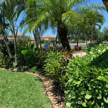 Tropical landscape make-over in Portosol