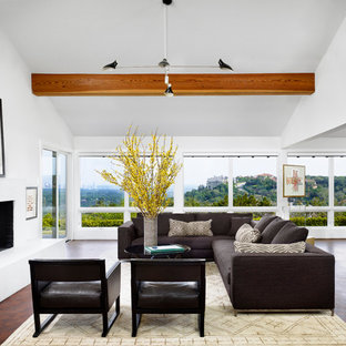 75 Beautiful Mid-Century Modern Vaulted Ceiling Living Room Pictures ...