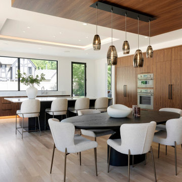 N44° 56' 06" | Bde Maka Ska | Modern Minneapolis Home