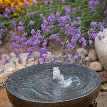 fountain