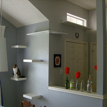 cat shelves