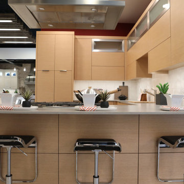 #4 - Precision Design Source - Contemporary Kitchen - Peninsula (30426-4)