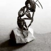 Rosanna Scimeca's photo