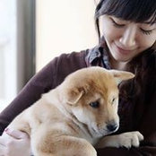 Ting Wangさんの写真