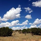 Jen Leighton's photo