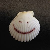 Michael Haug's photo
