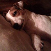 Lori King's photo