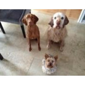 Agnes Siegel's photo