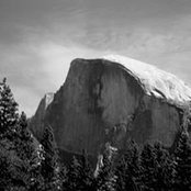 Michael Lombardo's photo