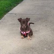 Tari Knuth-Haiflich's photo