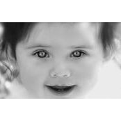Brad Kerkhoff's photo