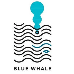Blue Whale Srl