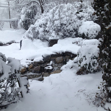 Winter Water Features