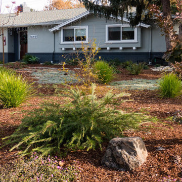 Lawn Removal in Los Altos