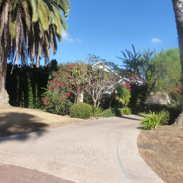 Lawn conversion in Fairbanks Ranch