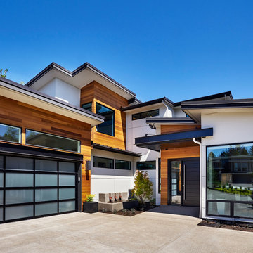 2015 Street of Dreams | Sandhill Crane