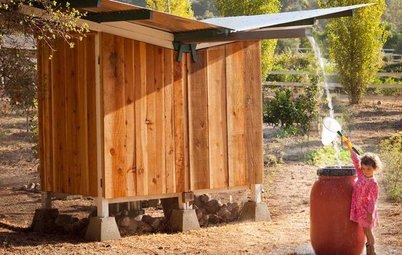 Collecting Rainwater and Eggs From a California Chicken Coop