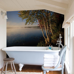 National Geographic Murals - Wall Decals