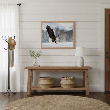 Adult Bald Eagle Wildlife Photograph Framed Modern Farmhouse Style Wall Art